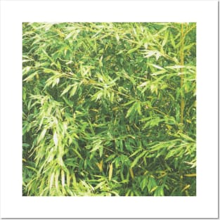 Beautiful Green Bamboo Leaves Posters and Art